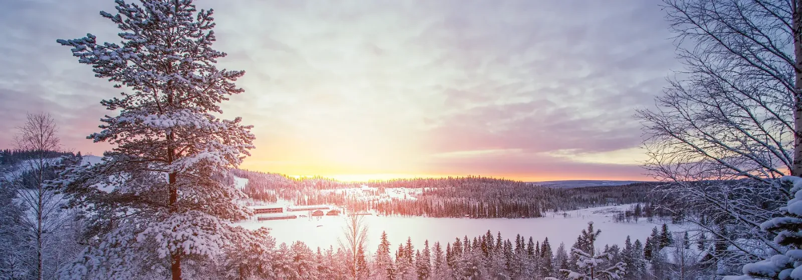 Winterlandschaft in Lappland mit verschneiten Bäumen bei Sonnenaufgang unter leicht bewölktem Himmel.