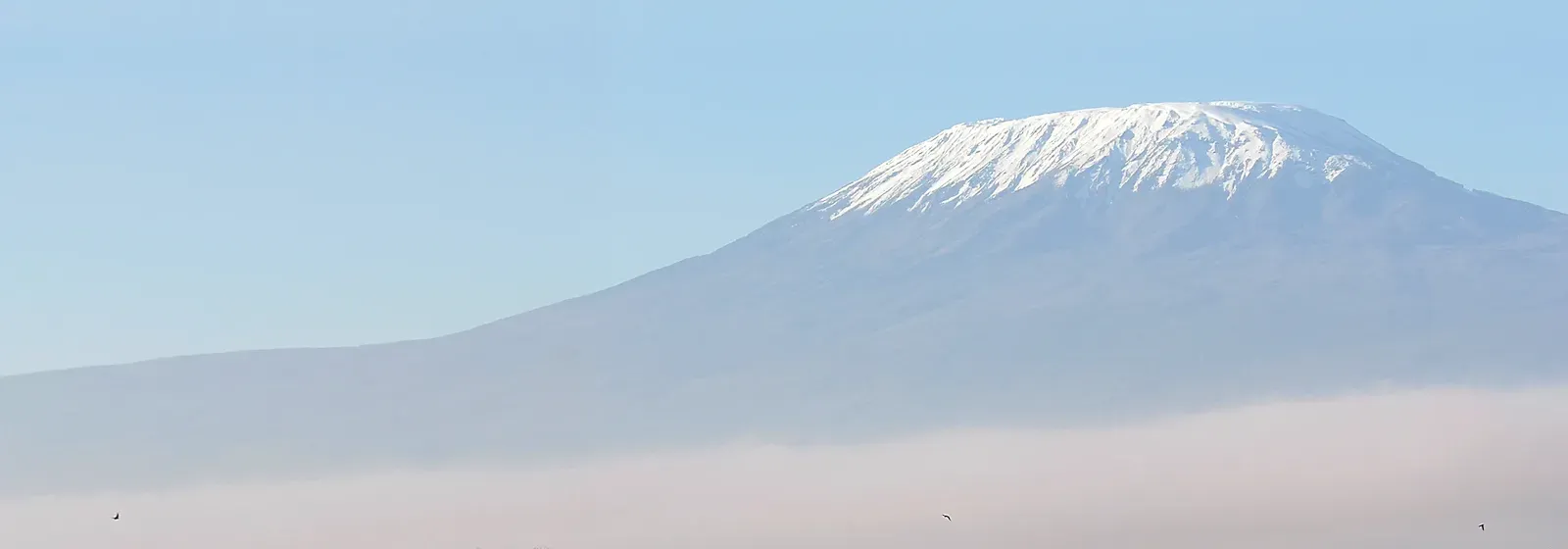 Der schneebedeckte Berg Kilimandscharo erhebt sich über einem Wolkenmeer unter strahlend blauem Himmel.