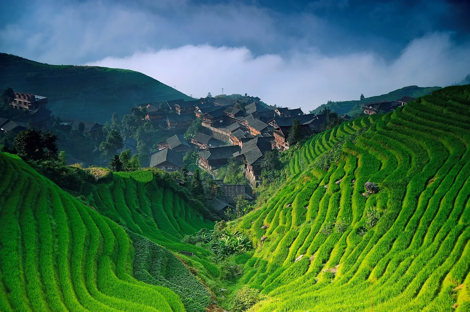 Die Reisterrassen von Longsheng in China sind zu sehen.