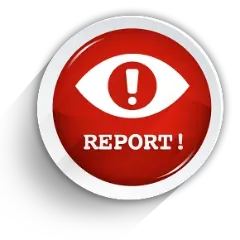 Report!