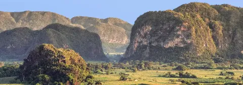 Grünes Tal von Vinales mit grünen Wiesen und hohen mit Pflanzen bewachsenen Karstbergen unter blauem Himmel.