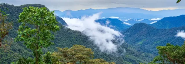 Aussicht auf den Nebelwald von Mindo mit grünen Berge und Wolken über dem tropischen Regenwald.