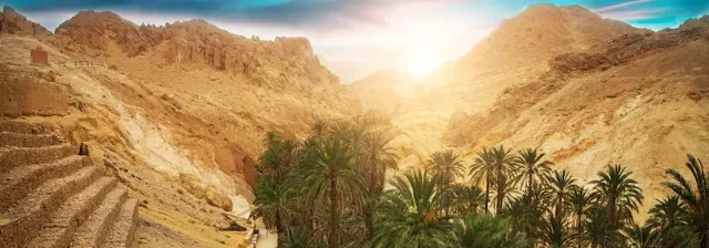Palmen wachsen in einer Oase Chebika zwischen felsigen Bergen in der Sahara-Wüste unter strahlender Sonne.