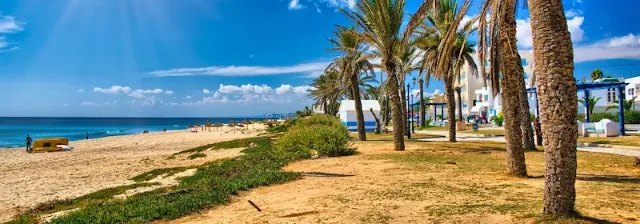 Strand mit Dattelpalmen, Sand und einigen weißen Gebäuden der Stadt Hammamet im Hintergrund.