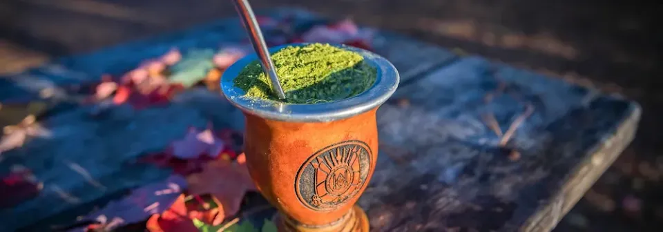 Tasse mit Metallstrohhalm und Mate Tee und grünem Tee oben drauf auf einem Holztisch mit Herbstlaub.

