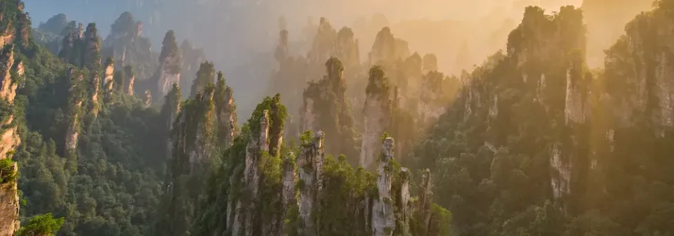 Felsnadeln im Zhangjiajie Nationalpark ragen aus bewaldeter Landschaft im Morgennebel empor.