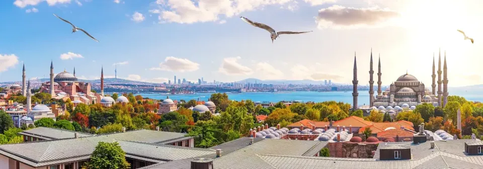 Panoramablick über die Dächer von Istanbul mit Blauer Moschee, Hagia Sophia und drei fliegenden Möwen über der Stadt.