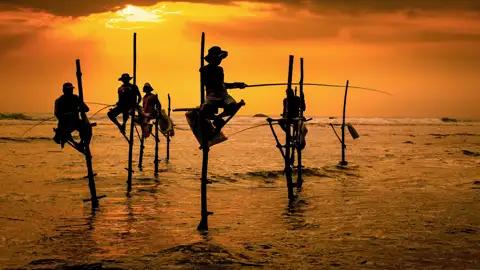 Auf der Fahrt entlang der Südküste sehen Sie die Stelzenfischer bei Weligama.