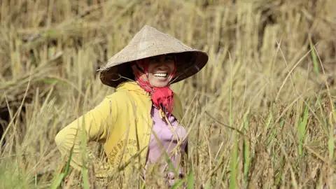 Auf Ihrer Rundreise durch Laos und Kamobdscha lernen Sie neben den kulturellen Highlights auch das typische Landleben kennen.