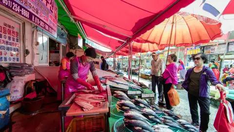 In Busan darf ein Besuch des berühmten Jagalchi-Fischmarkts nicht fehlen.