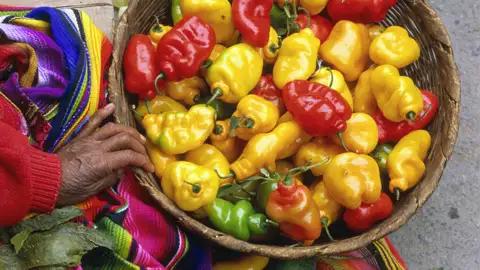 An der guatemaltekischen Landesküche führt auf Ihrer individuellen Rundreise durch Guatemala kein Weg vorbei.