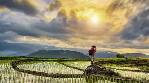 Unsere Marco Polo Reise in der Mini-Gruppe durch Nordthailand hält auch zahlreiche landschaftliche Höhepunkte bereit.