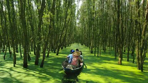 Auf Ihrer Marco Polo Rundreise durch Vietnam  besuchen Sie auch das Mekongdelta, das Sie per Boot und Fahrrad erkunden.