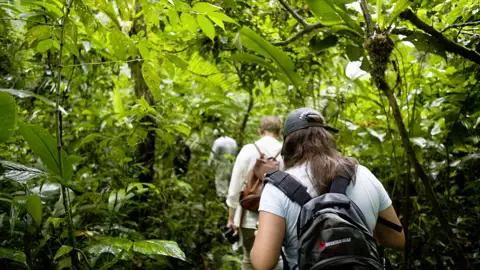 Der größte Teil Perus liegt im Amazonas-Tiefland; auf unserer Rundreise entdecken wir auch die Geheimnisse des Dschungels.