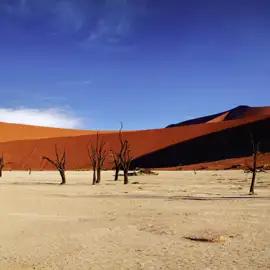 Während Ihrer Namibia-Rundreise besuchen wir das Dead Vlei und die weiteren Höhepunkte am Sossusvlei. Gut, dass unsere Lodge direkt am Eingang zum Nationalpark liegt!