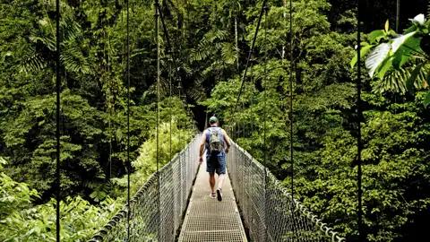 Lust auf ein luftiges Abenteuer? Auf Ihrer individuellen Rundreise durch Costa Rica eröffnet Ihnen im Monteverde-Nationalpark der Sky Walk ganz neue Perspektiven auf den Nebelwald.