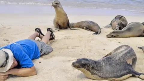 Höhepunkt Ihrer inividuellen Rundreise nach Ecuador ist Galápagos: Sie besuchen die Inseln Santa Cruz und Isabela und unternehmen ausführliche Erkundungstouren.