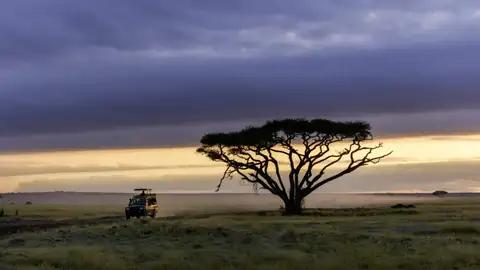 Die ostafrikanische Savanne mit ihren typischen Schirmakazien ist die perfekte Kulisse für den Sonnenuntergang.