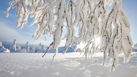 Auf der Reise nach Lillehammer in Norwegen schweift unser Blick immer wieder auf verschneite Winterlandschaften und die unendliche Weite.