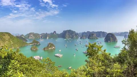 Auf Ihrer Reise besuchen Sie die smaragdgrüne Halong-Bucht mit den charakteristischen Kalksteininseln und traditionellen Dschunken.