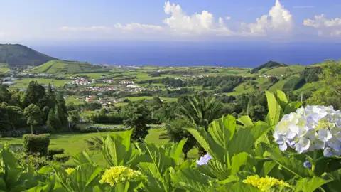 Immer wieder bieten sich uns auf der Rundreise Ausblicke auf die grüne Hügellandschaft der Azoren und dem Meer im Hintergrund, im Sommer blühen die Hortensien.