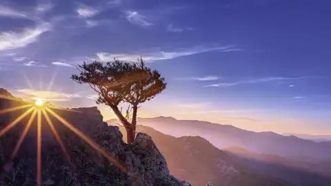 Auf unserer Reise nach Zypern erleben wir die verschiedenen Landschaften der Insel und erfahren viel über Flora und Fauna von unserer Reiseleitung.