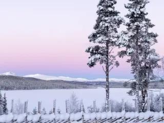 Ein gefrorener See in Norwegen umgeben von schneebedeckten Bäumen und Bergen im Hintergrund.