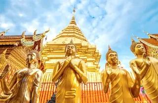 Es sind goldene Buddhas vor einem goldenen Tempel in Thailand zu sehen.
