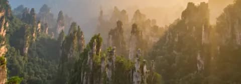 Felsnadeln im Zhangjiajie Nationalpark ragen aus bewaldeter Landschaft im Morgennebel empor.