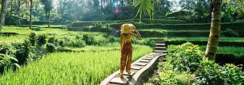 Frau mit Sonnenhut auf einem Pfad in den grünen Tegalalang-Reisterrassen, umgeben von üppiger Vegetation.