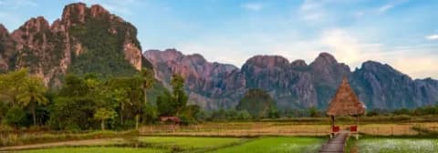 Holzbrücke in Vang Vieng inmitten von grünen Reisfeldern mit Karstkalksteinbergen im Hintergrund.