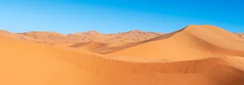 Weite Dünenfelder der Sahara unter blauem Himmel