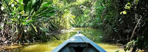 Spitze eines blauen Bootes fährt über einen Fluss mitten im üppig grünen Amazonas-Regenwald.