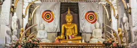 Ein goldener Buddha im Zahntempel in Kandy, umgeben von weißen Statuen und dekorativen Elementen.