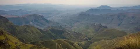 Grüne, weite Blumenwiese mit grünen Bergen im Hintergrund unter blauem Himmel