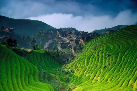 Die Reisterrassen von Longsheng in China sind zu sehen.