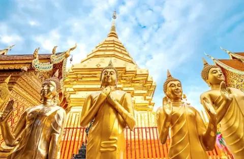 Es sind goldene Buddhas vor einem goldenen Tempel in Thailand zu sehen.