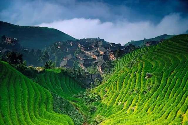 Die Reisterrassen von Longsheng in China sind zu sehen.