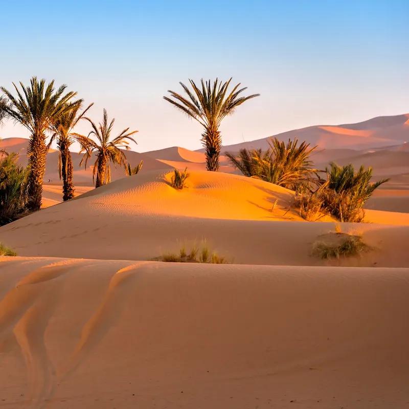 Mobile header background