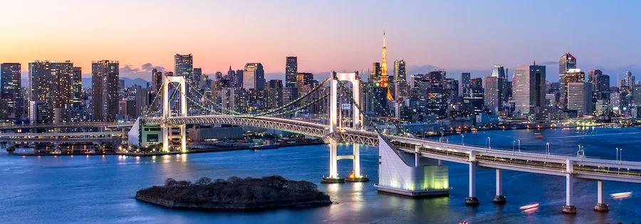 Skyline von Tokio mit Brücke, Fluss und Hochhäusern bei Sonnenuntergangsdämmerung.