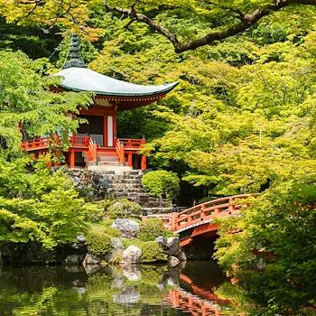 Mobile header background