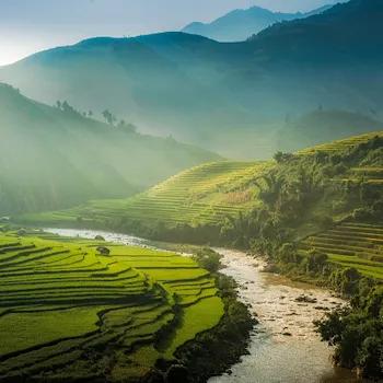 Mobile header background