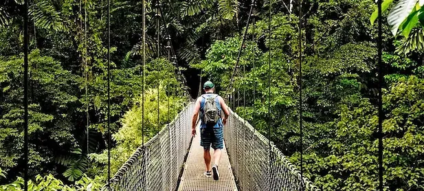 Hängebrücke in den Baumwipfeln von Monteverde. Auf dieser Hängebrücke geht ein Mann mit Rucksack.