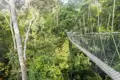 Highlight auf unserer YOUNG LINE Reise durch Malaysia und Thaland: die über 400 m langen Hängebrücken mitten durch den Dschungel des Taman-Negara-Nationalparks.