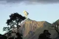 In Antigua beginnt unsere YOUNG LINE Rundreise durch Guatemala. Die ehemalige Hauptstadt mit kolonialem Flair bietet eine beeindruckende Kulisse mit teilweise aktiven Vulkanen wie dem Fuego.