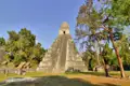 Auf unserer YOUNG LINE Reise durch Guatemala bestaunen wir im Tikal-Nationalpark den Sonnenaufgang von der Spitze eines der Tempel aus.
