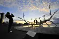 Am Anfang Ihrer individuellen Mietwagenreise durch Island verbringen Sie den ersten Nachmittag in Reykjavik und können die Skulptur Sun Voyager besichtigen.