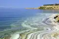 Auf Ihrer Marco Polo Rundreise durch Jordanien kommen Sie auch zum Toten Meer und können das mit dem Floaten mal selbst ausprobieren.