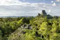 Mitten im Dschungel warten in Guatemala die Mayaruinen von Tikal auf Sie. Ringsum moosbedeckte Tempel, Paläste und Plätze, und im Dickicht verstecken sich Brüllaffen, Papageien und Nasenbären.