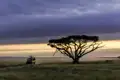 Die ostafrikanische Savanne mit ihren typischen Schirmakazien ist die perfekte Kulisse für den Sonnenuntergang.